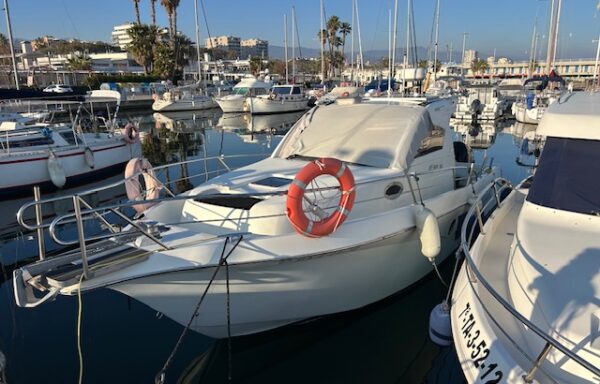 SAN REMO 31 OFFSHORE PRO      